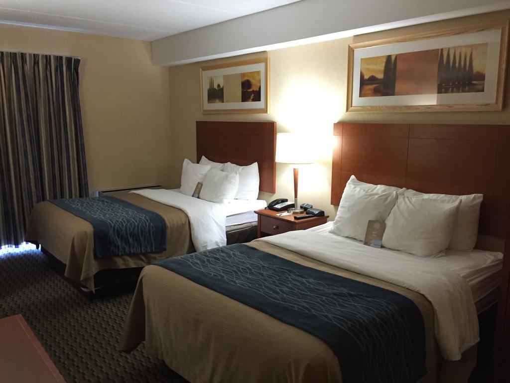 Comfort Inn Airport West Mississauga Exterior foto
