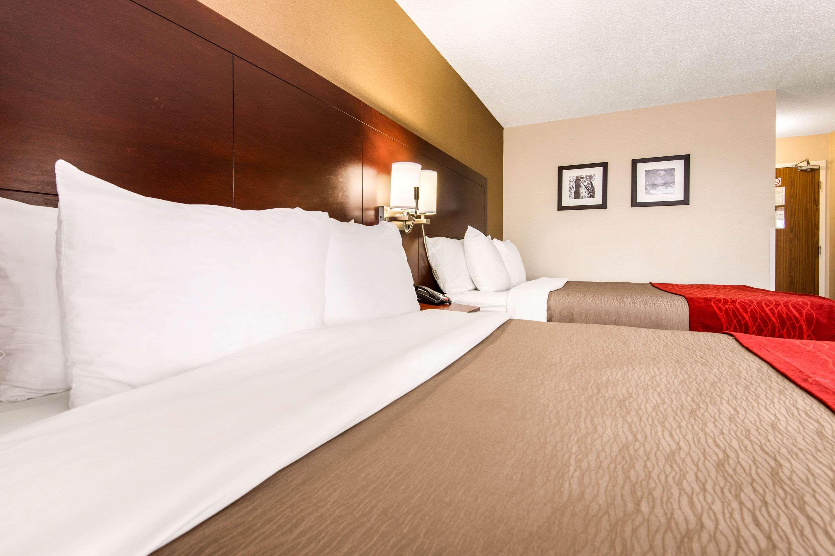 Comfort Inn Airport West Mississauga Exterior foto