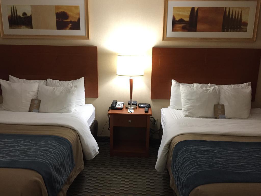 Comfort Inn Airport West Mississauga Exterior foto
